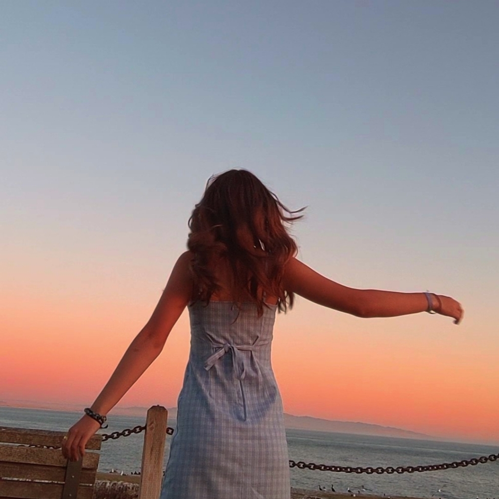 brandy melville john galt blue dress